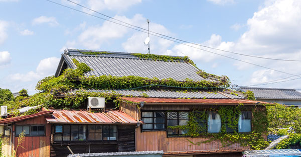 沖縄で相続した実家とお仏壇じまい☆空き家にするなら売却した方が良い理由