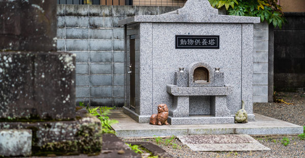 犬に必要な「死亡診断書」