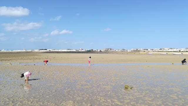 2024年：現代の沖縄のハマウイ(浜降り)