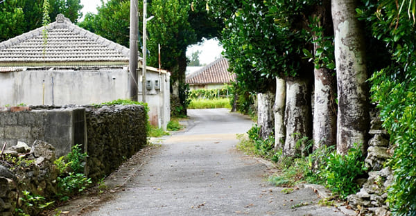 沖縄の火の玉「イニンビー（遺念火）」とは？