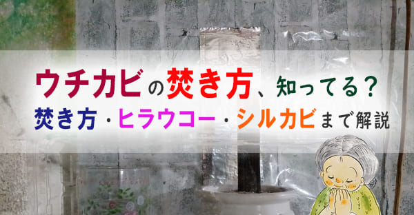 沖縄の旧盆「ウチカビ」の焚き方・枚数・タイミング｜ヒラウコー・シルカビも詳しく解説