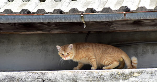 まとめ｜旧暦12月24日は一年の節目を整える日