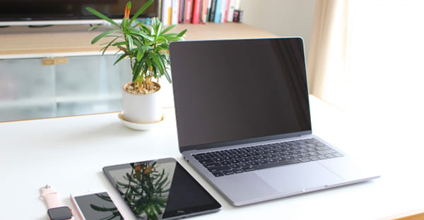 まとめ|デジタル遺産の相続と管理・消去のポイント